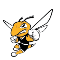 American International College Sticker