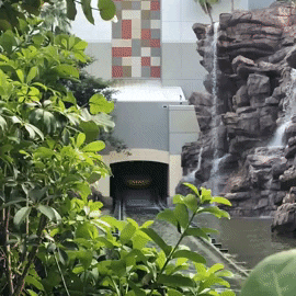 Jurassic Park Waterfall GIF by Universal Destinations & Experiences