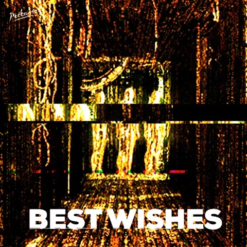 Best Wishes Please GIF