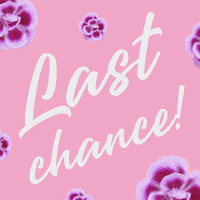 Last Chance GIF by Pink Kisses
