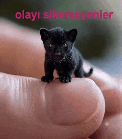 Olay Sik GIF