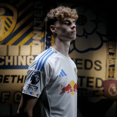 Premier League Lufc GIF by Leeds United