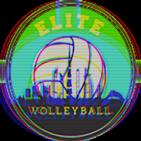 Elite Volleyball Academy Dubai GIF