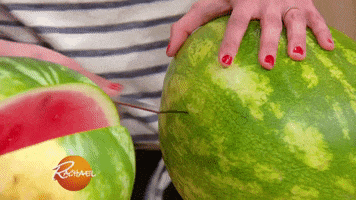 fruit watermelon GIF by Rachael Ray Show