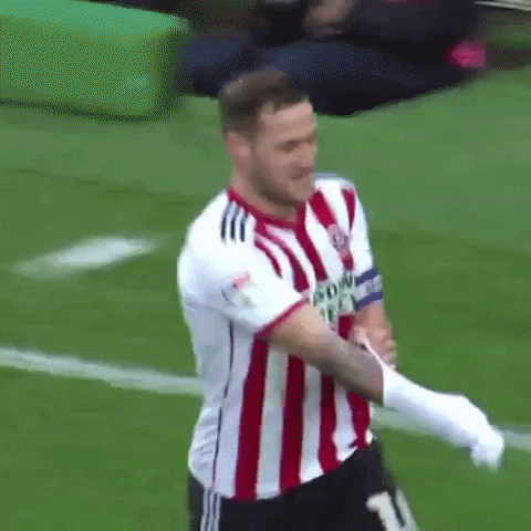 Sheffield United Soccer GIF by Sheffield United Football Club - Find & Share on GIPHY