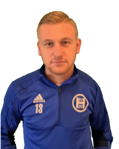 Hsv Sticker by SVHeek