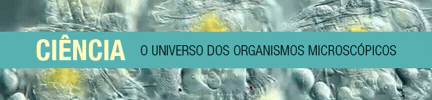 GIF by Mundo dos  Bichos