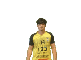 Sport Handball Sticker by Hazebrouckhandball