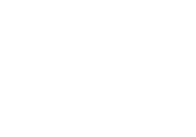 ably Brain Water Sticker