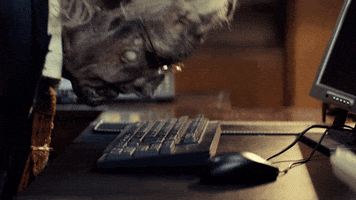 Pushing Work From Home GIF by Upwork