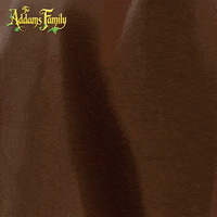 addams family dance GIF by Paramount Movies