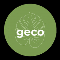 Geco GIF by followthegeco