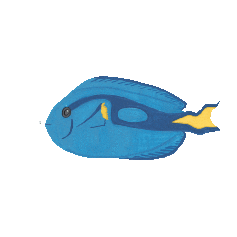 Dory Sticker