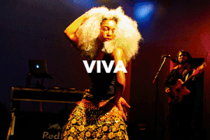 Lasfotosproject GIF