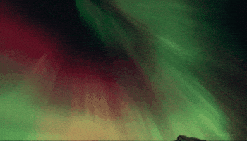 Travel GIF