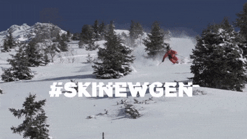 Snow Snowboarding GIF by skinewgen