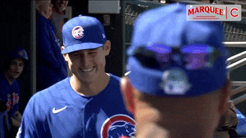 Cubs Celebrate GIF by Marquee Sports Network