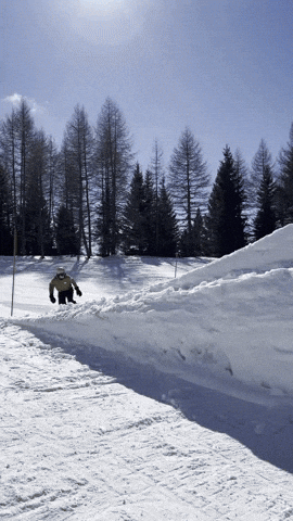bonebinding GIF