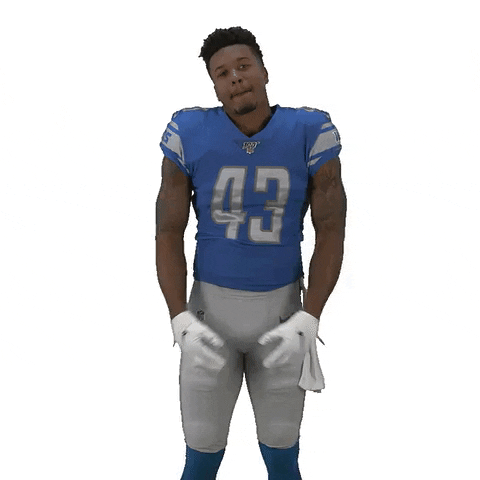 National Football League Idk GIF by Detroit Lions