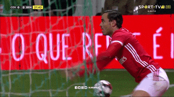 Look At It Sl Benfica GIF by Sport Lisboa e Benfica