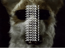 joycult GIF