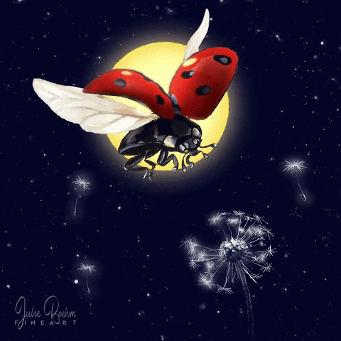 julieboehm glow ladybug moonlight dandelion GIF