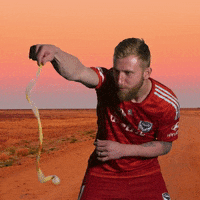 Australia Snake GIF by Melbourne Victory FC