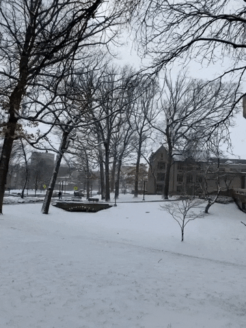 Snow Ysu GIF by Youngstown State University