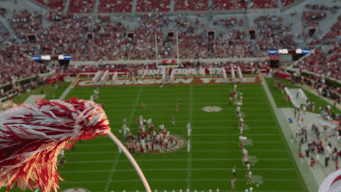 Bryant Denny Stadium GIFs - Find & Share on GIPHY