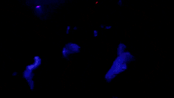 zalennmusic live zalenn GIF