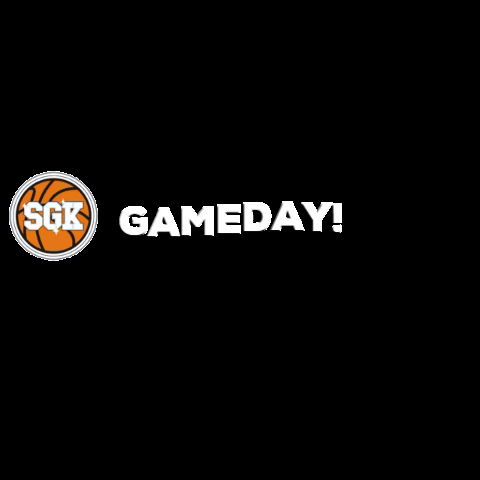sgk-basketball basketball gameday verein heidelberg GIF