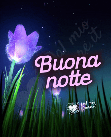 Buonanotte GIF
