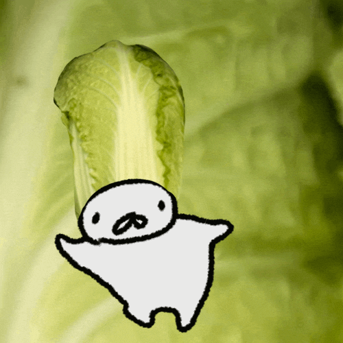Cabbage GIF