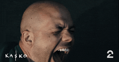 Scream Reaction GIF by tv2norge