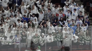 Green Team Hype GIF by NTHS
