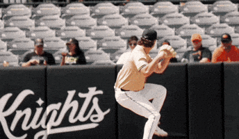 Baseball Strikeout GIF by UCF Knights