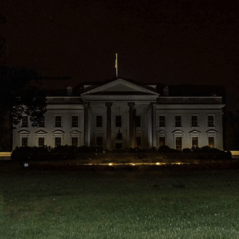 White House Trump GIF by THEOTHERCOLORS