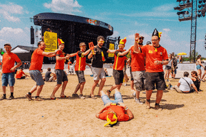 Rock Werchter GIF