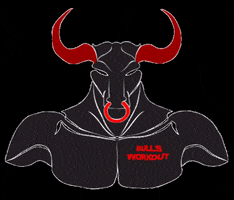 Bulls Workout GIF