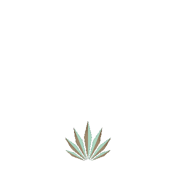 Skincare Cbd Sticker by Cannabliss Organic