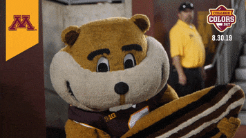 College Sports Minnesota GIF by College Colors Day