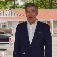 Excited Schitts Creek GIF by CBC