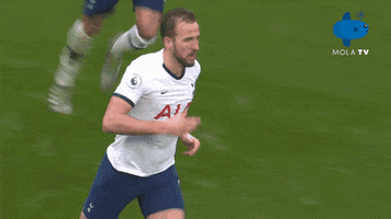 Tottenham Mourinho GIF by MolaTV