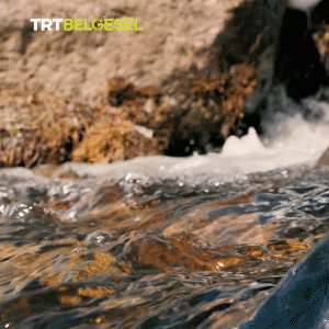 Cool Off Fresh Water GIF by TRT