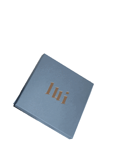 Lui Store Sticker