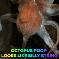 Poop Bathroom GIF by OctoNation® The Largest Octopus Fan Club!