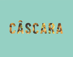 CASCARA GIF