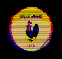 Gallo Negro GIF