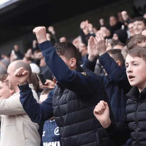 The Den Celebration GIF by MillwallFC