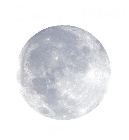 Noel Lunettes Sticker by Alain Afflelou